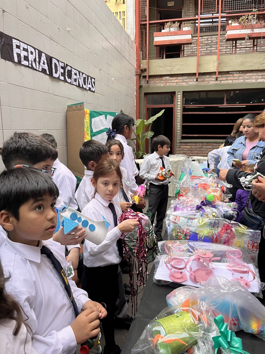 Feria de Ciencias 3°
