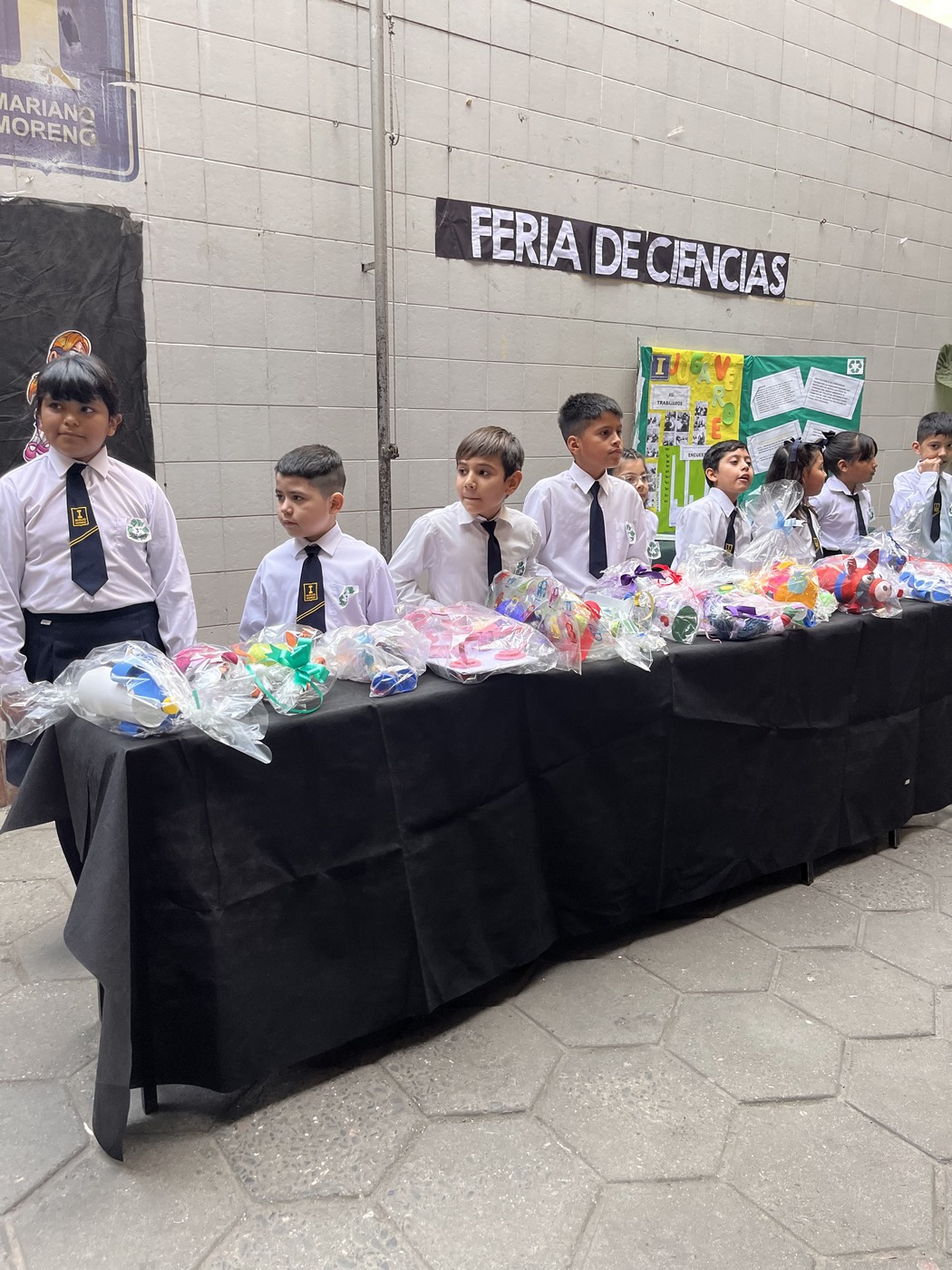 Feria de Ciencias 3°