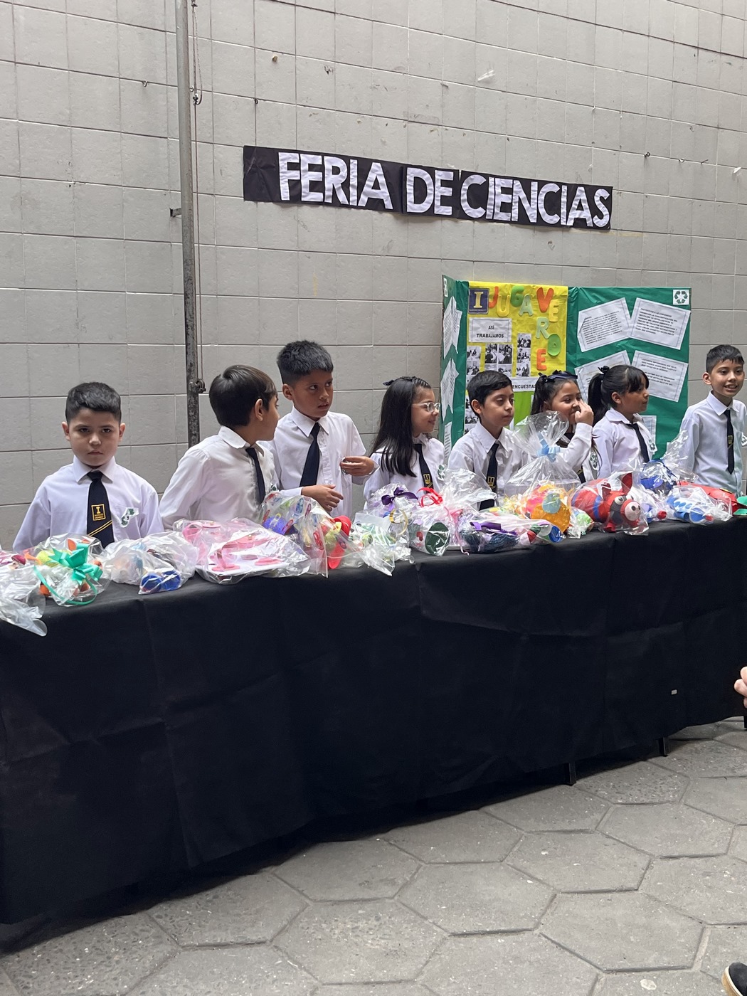 Feria de Ciencias 3°
