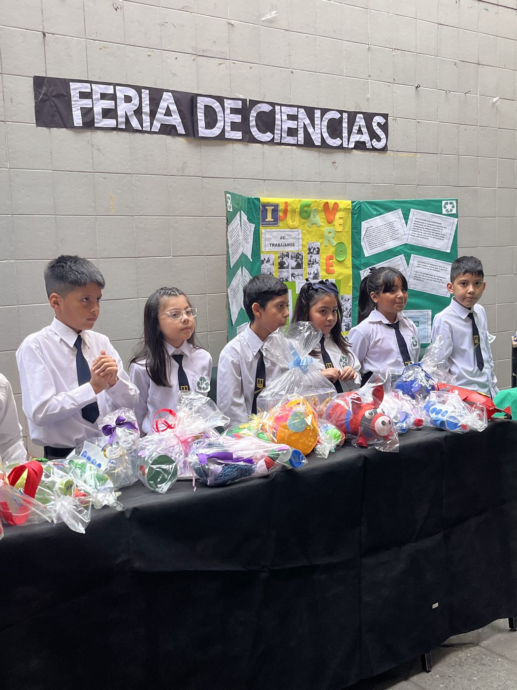 Feria de Ciencias 3°