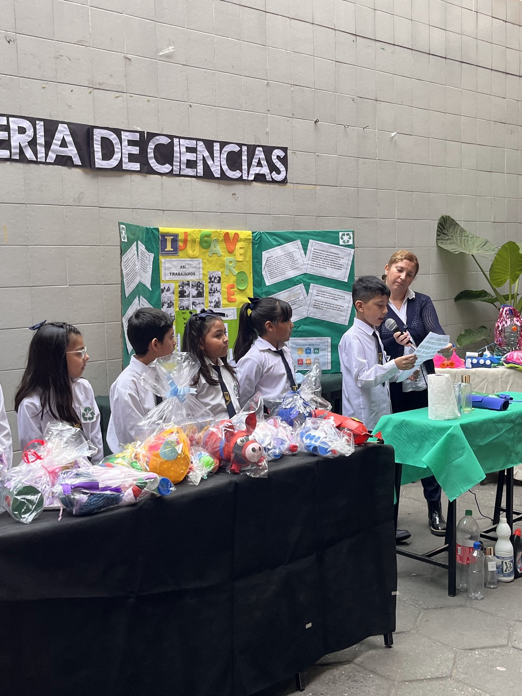 Feria de Ciencias 3°