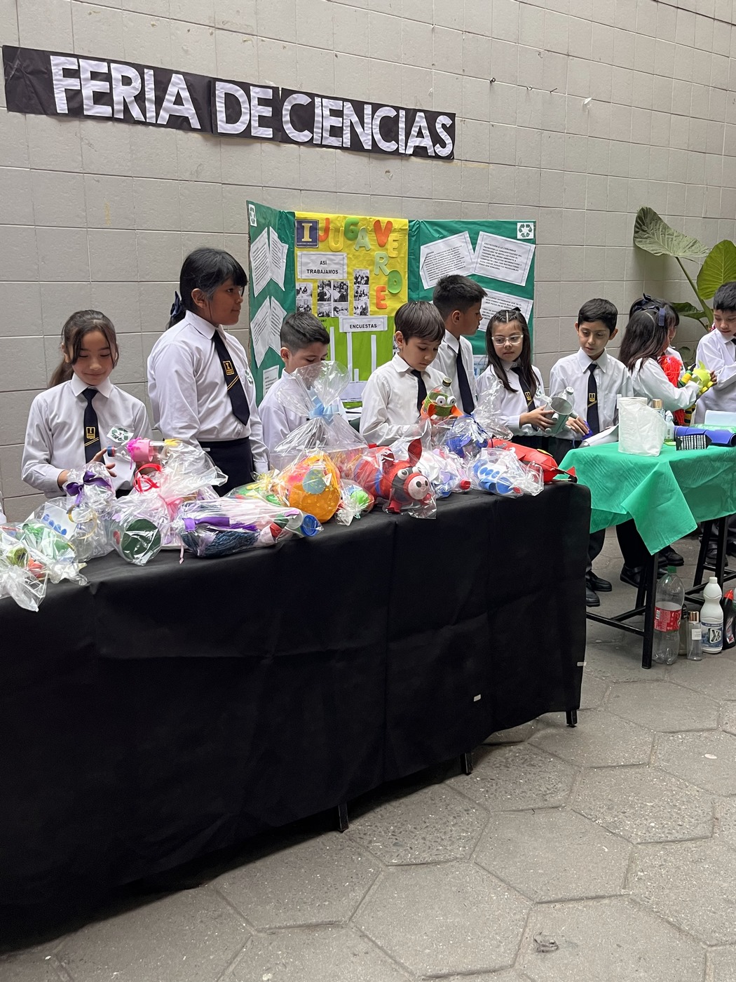 Feria de Ciencias 3°