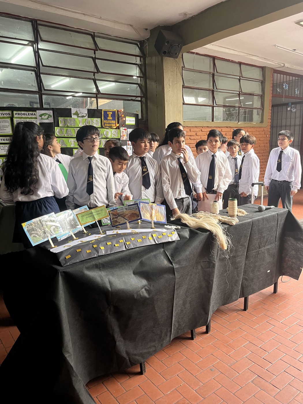 Feria de Ciencias 5°
