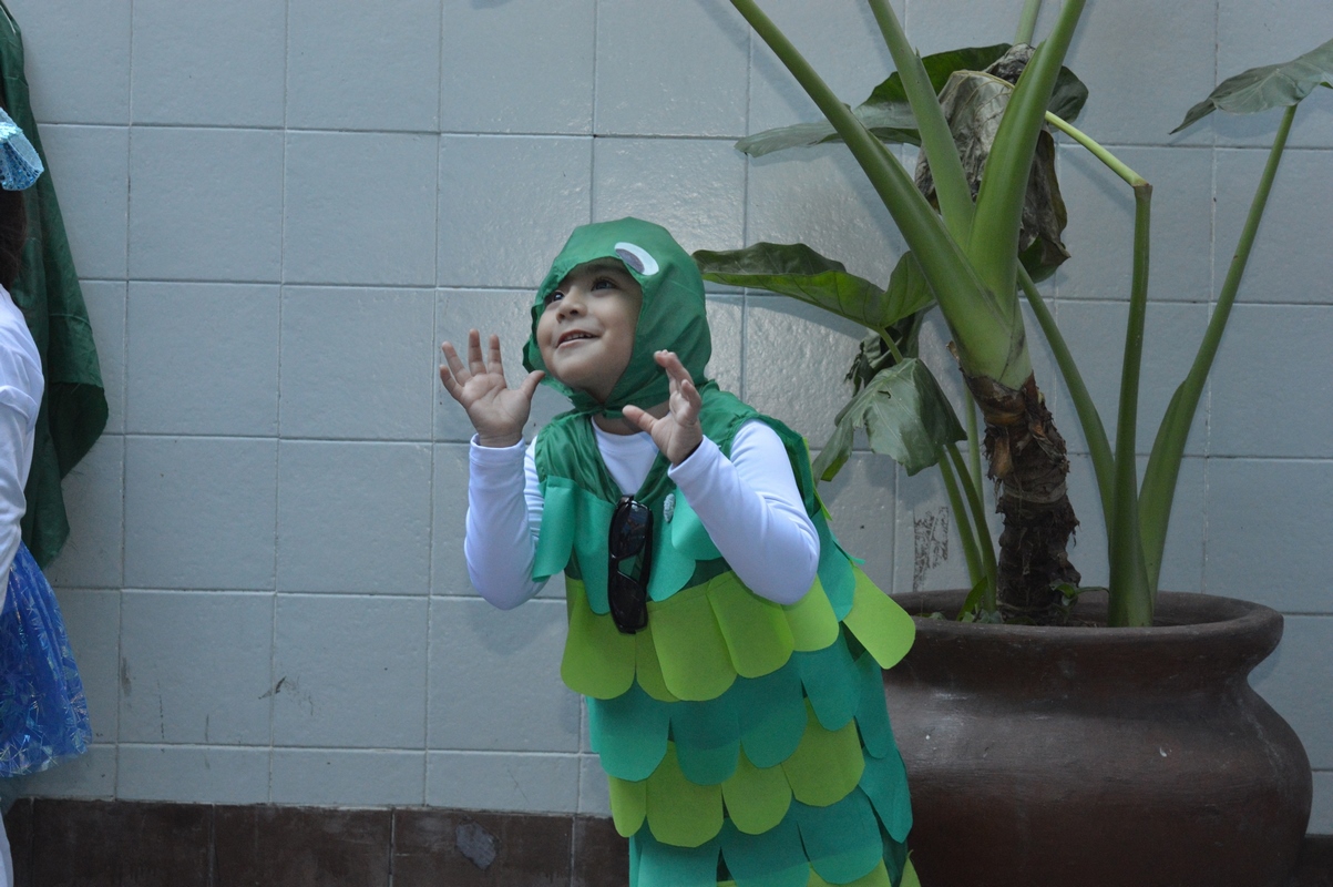 Fiesta de los Jardines