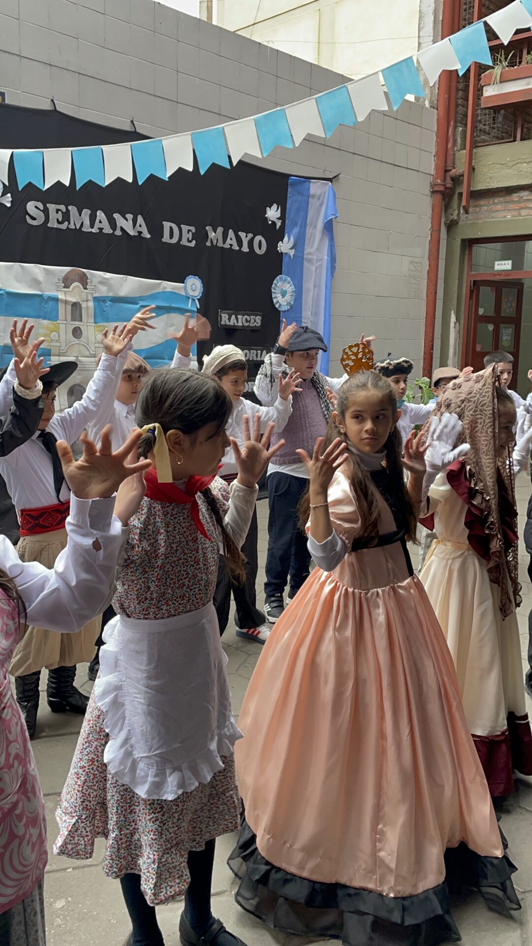 Muestras 25 de mayo
