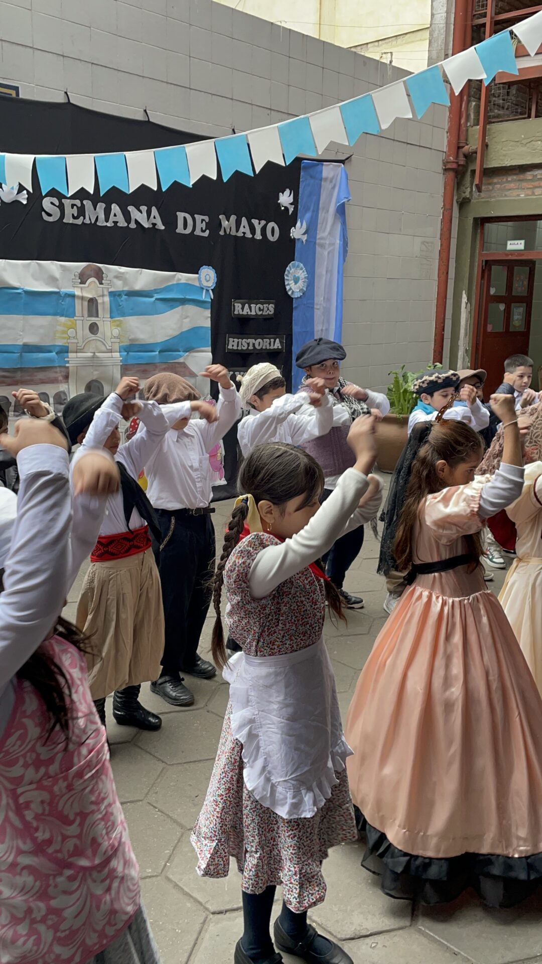 Muestras 25 de mayo