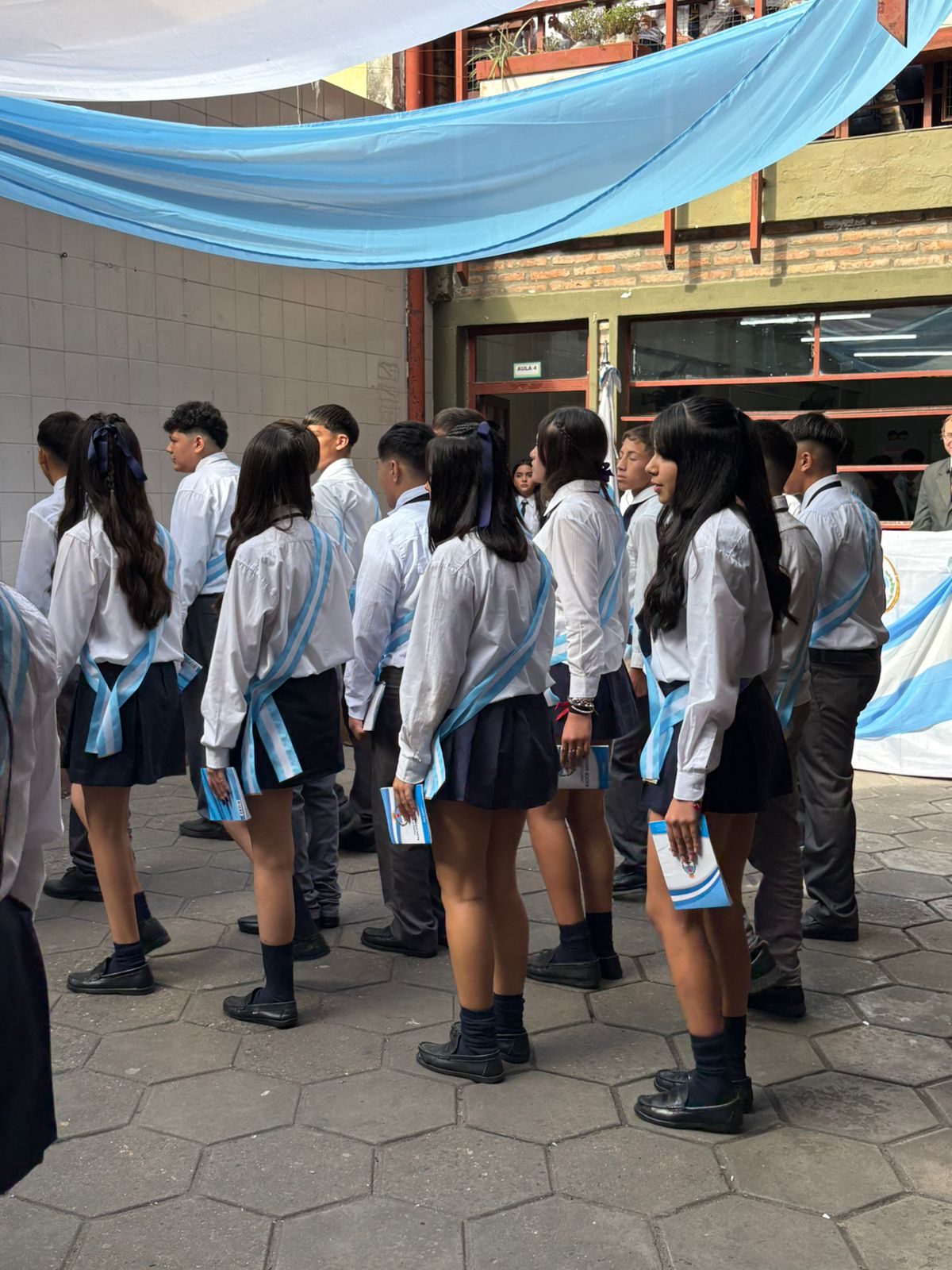 Promesa - constitucion arg.