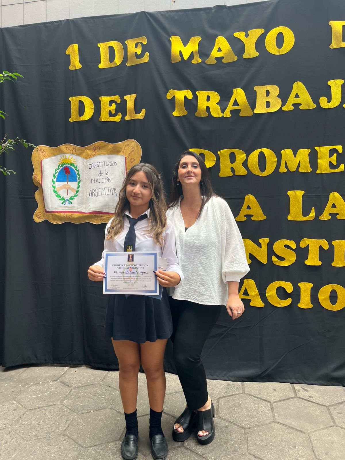 Promesa Constitucion Nacional