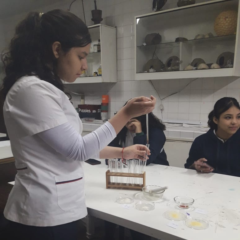 Experiencia de laboratorio